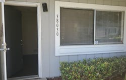 38030 Dundee Cmn, Fremont, CA 94536