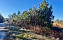 Needmore, TROY, AL 36081