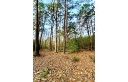 TBD (Lot 59) County Road 1060, Center, TX 75935