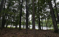 5133 N Waite Drive, Irons, MI 49644