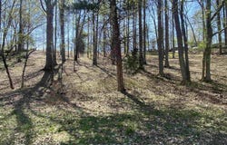 7 Al Hen Rd, Cadiz, KY 42211