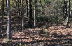 14287 N Wedington Blacktop Road lot: 0, Lincoln, AR 72744