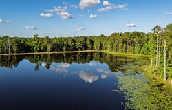 2683 County Road 1316, Rusk, TX 75785