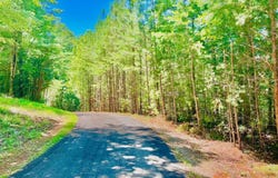 64 Meadow Brooke Drive, Young Harris, GA 30582