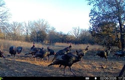 Bronco Rd, Peru, KS 67360