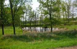 29366 Meadow Circle, Laporte, MN 56461