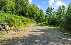 Crocus Creek Road, Burkesville, KY 42717