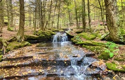 Bragg Hollow Road, Middletown, NY 12455