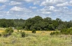 Tbd Fm 2492 & CR 103, Brownwood, TX 76801