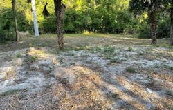 PARK AVENUE, DE LEON SPRINGS, FL 32130
