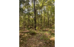 0 Wigdon Rd Lot 1, Opelika, AL 36801
