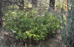 Lakeland Road, Chiloquin, OR 97624