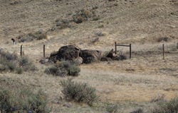 Butte, MT 59701