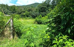 Tr B Fairview Rd, Sylva, NC 28779
