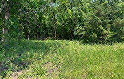 0 LIV 403, Mooresville, MO 64664