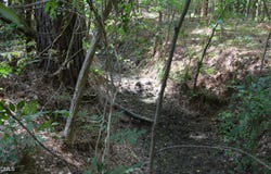 NC Hwy 461, Winton, NC 27986