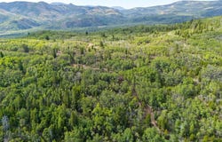 Tract A, Anaconda, MT 59711