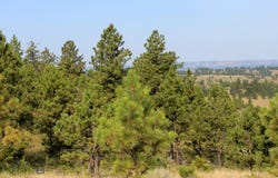 Tbd Lone Rock Canyon Lane, Hysham, MT 59076
