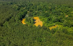 23319 fm 343, Cushing, TX 75760