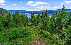 Nna Kirby Mt. ( East 5 acres ), Sandpoint, ID 83864
