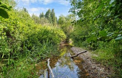 52xx Wagner Rd, Springdale, WA 99173
