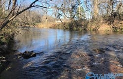 6777 Hwy 207, Anderson, AL 35610
