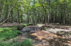 96 Acres Meers Road, Dalton, GA 30721