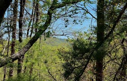 691 Railey Ridge, Ranger, GA 30734