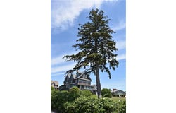 112 Noyes Neck Road, Westerly, RI 02891