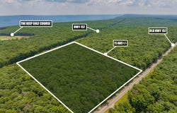 0 157 Highway GA, Menlo, GA 30731