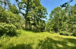 99/Ac Tbd Nw Of Copperhead Hollow Road, Mountain City, TN 37683