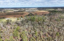 Vacant SW Moseley Hall Road, Greenville, FL 32331
