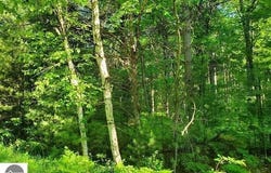0 Hillside Drive, Alger, MI 48610