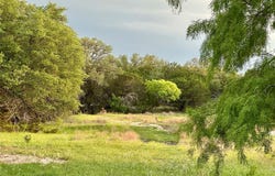 Tbd Fm 3023 S, Goldthwaite, TX 76844