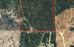 W State Hwy. 106 (Stinson), Georgiana, AL 36033