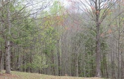Woodshire Dr lot: 13, Blue Ridge, VA 24064