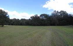 Taylor Road, Monticello, FL 32344