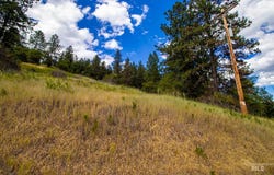 0 Whitetail Drive, Ahsahka, ID 83520