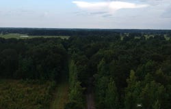 0 Hammond Rd, Jayess, MS 39654