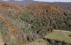 Antler Drive, McGrady, NC 28649
