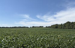 31820 County Road 317, Belle, MO 65013