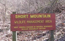 25 ACRES ON NORTH RIVER & SHORT MOUNTAIN, RIO, WV 26755