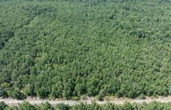 10 AC 185TH RD, Live Oak, FL 32060
