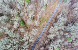 620 Elk Mountain Scenic Highway, Asheville, NC 28804
