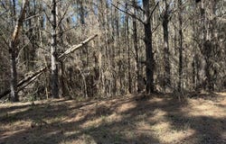 County Road 4103, Sallis, MS 39160