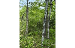 Tbd Range Line Rd, Nickerson Twp, MN 55756