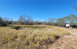 0 FM 2687 Road, Rio Grande City, TX 78563