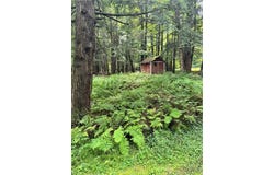 11224 Countryman Road, Remsen, NY 13438