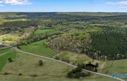 515 Robbins Branch Road, Altoona, AL 35952