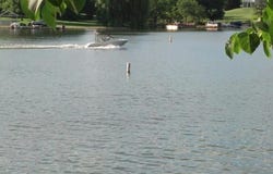 24-51 Saddlewood, LAKE CARROLL, IL 61046